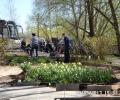 18 мая 2017 года волонтерским движением Внешэкономбанка РФ проведено мероприятие по благоустройству территории Вышневолоцкого дома-интерната
