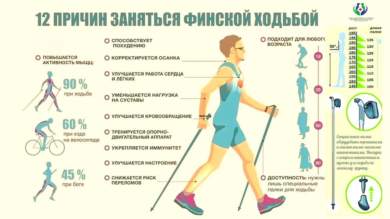 Неделя популяризации активных видов спорта
itemprop=